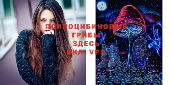 тгк Карпинск