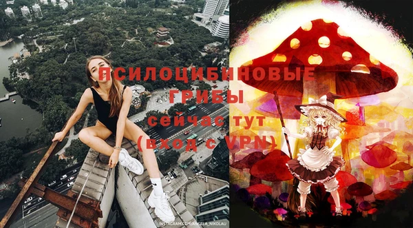 тгк Карпинск