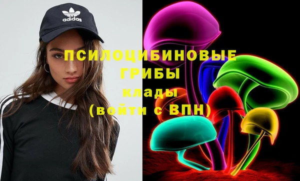 эйфоретик Касимов