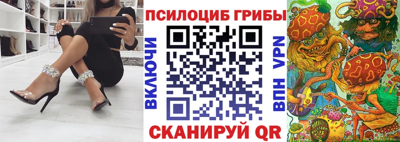 Псилоцибиновые грибы прущие грибы  Купить где  Томск 